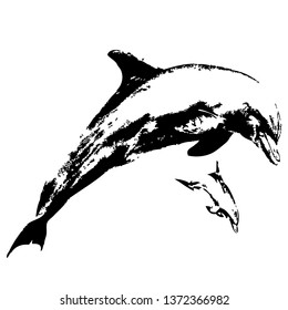 Dolphin vector hand drawn illustration. Isolated on a transparent background

