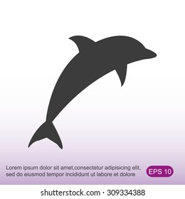 dolphin vector icon
