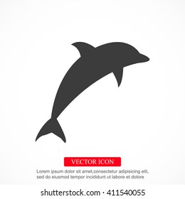 dolphin vector icon
