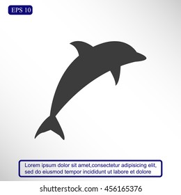 dolphin vector icon