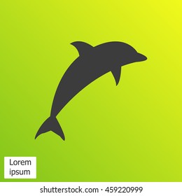 dolphin vector icon
