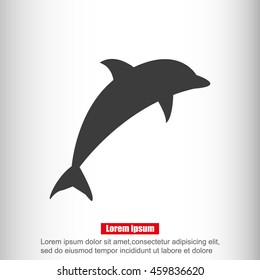 dolphin vector icon