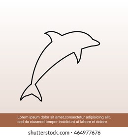 dolphin vector icon