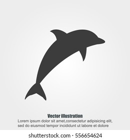 dolphin vector icon