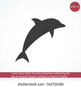 dolphin vector icon
