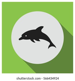 Dolphin vector icon