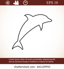 dolphin vector icon