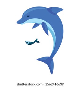 Dolphin vector icon.Cartoon vector icon isolated on white background dolphin .