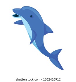 Dolphin vector icon.Cartoon vector icon isolated on white background dolphin .