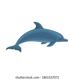 Dolphin vector icon.Cartoon vector icon isolated on white background dolphin.