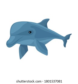 Dolphin vector icon.Cartoon vector icon isolated on white background dolphin.