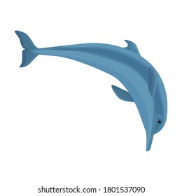 Dolphin vector icon.Cartoon vector icon isolated on white background dolphin.
