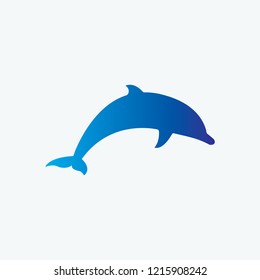 dolphin vector illustration