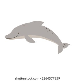 Dolphin. Vector illustration of cute safari animal.