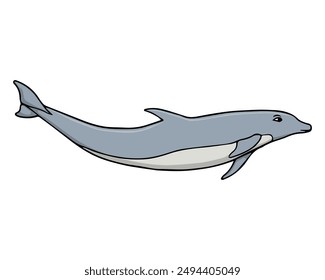 dolphin vector illustration,isolated on white background,top view