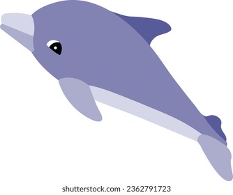 Dolphin Vector image or clipart