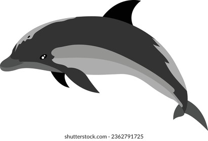 Dolphin Vector image or clipart