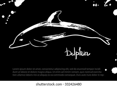 Dolphin.  Vector isolated illustration. Ink. Hand drawn. Black board