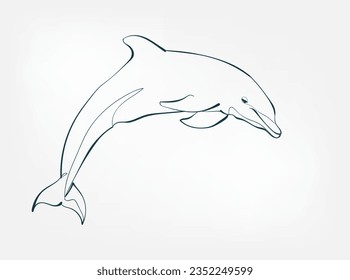 dolphin vector line art animal wild life single one line hand drawn illustration isolated