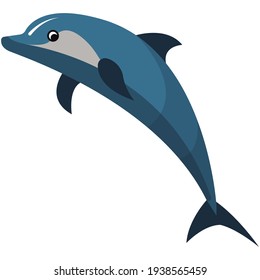 Dolphin vector sea fish illustration isolated on white background