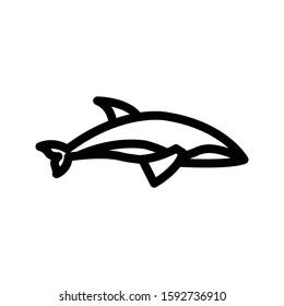 dolphin vector thin line icon 