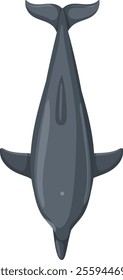 A dolphin viewed from above in vector style