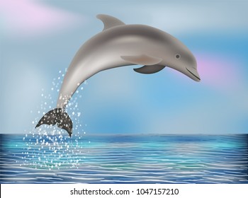 Dolphin wallpaper. vector illustration
