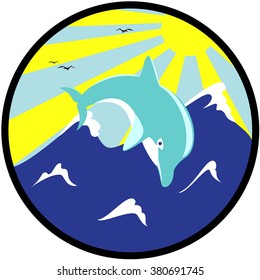 Dolphin in water