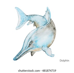 Dolphin water color painting vector on a white background