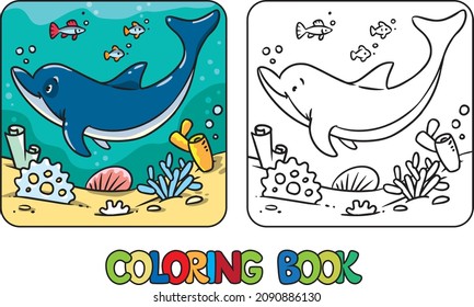 Dolphin in water coloring book. Kids vector