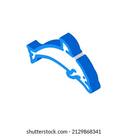dolphin water mammal animal isometric icon vector. dolphin water mammal animal sign. isolated symbol illustration