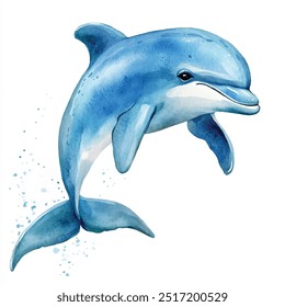 dolphin watercolor clipart illustration isolated