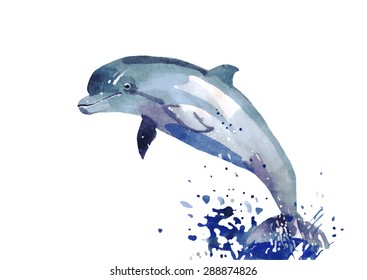 Dolphin. Watercolor illustration isolated on white background, vector