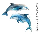 Dolphin Watercolor vector element. Tattoo watercolor hand draw