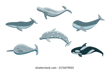 Dolphin and Whales set on white background