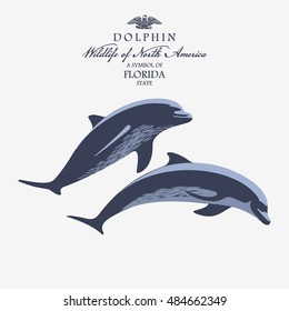 Dolphin, Wildlife of America, illustration, vector, blue color