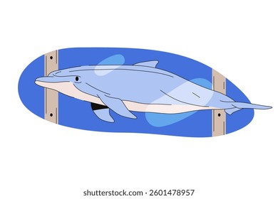 Dolphin in zoo pool or vector intelligent fish in dolphinarium. Marine mammal swimming in zoo water. Aquatic and sonar predator. Social swim fauna or underwater swimmer. Ocean and sea wildlife
