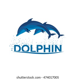 Dolphinarium. Dolphin logo. Banner. Vector flat illustration.
