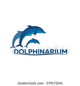 Dolphinarium. Dolphin logo. Banner Vector flat illustration