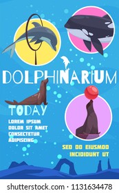 Dolphinarium poster with flat images of cetacean fishes with editable text captions and underwater background vector illustration