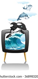 Dolphines swimming and jumping on TV illustration