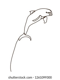 Dolphin,fish , line drawing style,vector design