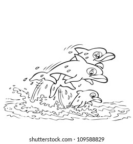 Dolphins