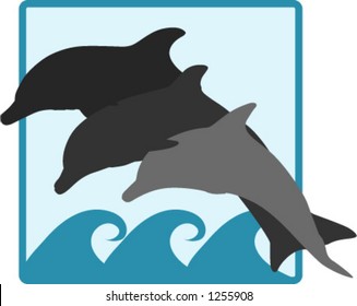 dolphins