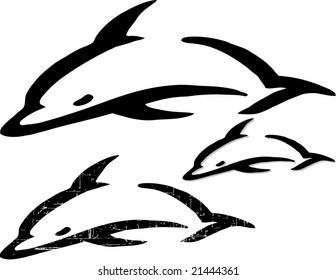 dolphins
