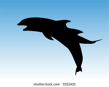 Dolphins