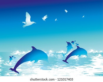 dolphins and birds