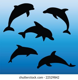 dolphins collection - vector