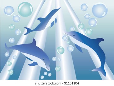 dolphins dive under water in the rays of light