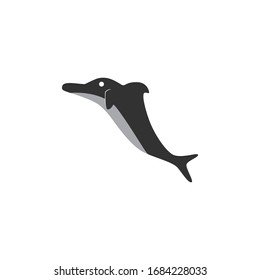 dolphins graphic design template vector isolated